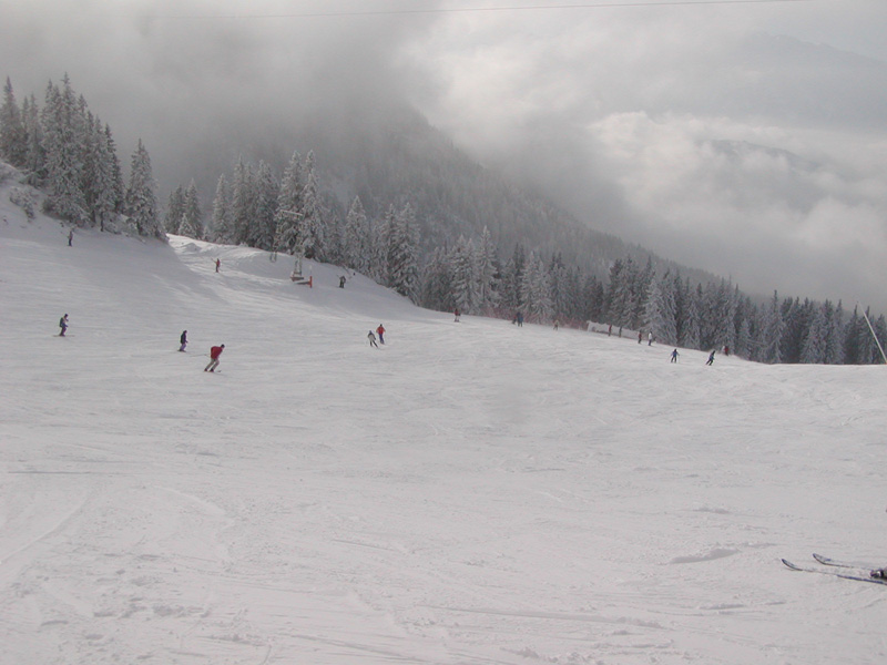 223 Seefeld Rosshütte Familienabfahrt